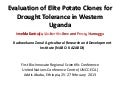 Evaluation of elite potato clones for drought tolerance in western Uganda