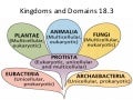 Biology 18.3