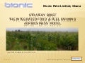 Bionic Palm integrated food & Jatropha farming model