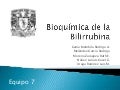 Bioquímica de la Bilirrubina.