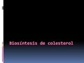 Biosíntesis de colesterol