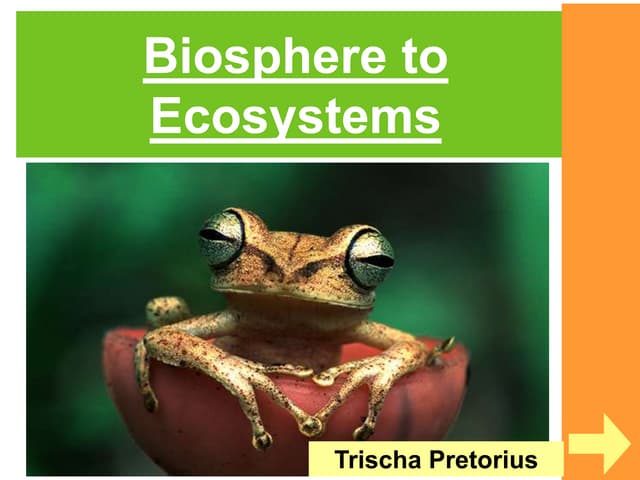 The Hydrosphere And Biosphere