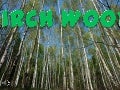 Birch wood (v.m.)