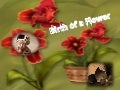 Birth of a Flower 