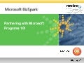 BizSpark