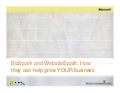 Biz spark and websitespark