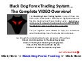 Black Dog Forex Trading System Overview