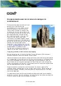 Energieneutraal bouwen met de natuur als catalogus: de termietenheuvel