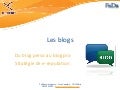 DU blog perso au blog pro, stratégie de e-réputation [2009]