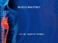 Blood and its components