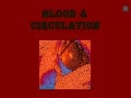 Blood & Circulation