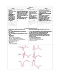 Bloqueos Cardiacos