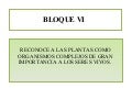 Bloque VI  Bio. II