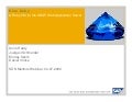 Blue Ruby SDN Webinar
