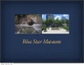 Blue Star Museums Keynote Aug2010 Pdf