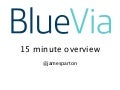 BlueVia - Silicon Valley Tour Deck