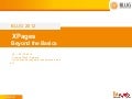 XPages -Beyond the Basics