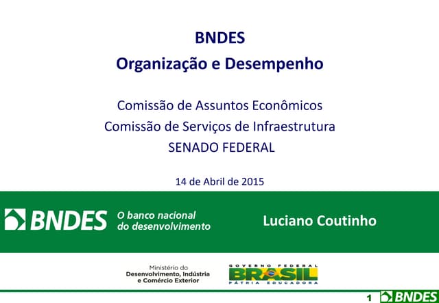 BNDES - Organização e Desempenho