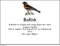 Bofink filip