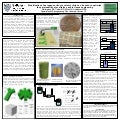 Modification Of Porogen Surface To Volume Ratio Can Be Used To Optimize The Permeability Of Scaffolds Used In Tissue Engineering, 9/2003