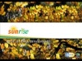 Sun Rise - Book Digital