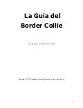 Border coliie guia