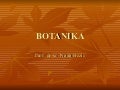 Botanika mediteranci
