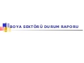 Boya Sektörü Durum Raporu
