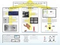 BPS 2010 Poster Presentation: Shotgun DNA Mapping with Yeast