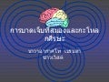 Brain And Craniofacial (Thai)