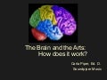 Brainarts