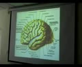 Brain Functional Areas1-Frontal Lobe - Sanjoy Sanyal