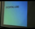 Brain Functional Areas 4-Occipital Lobe - Sanjoy Sanyal