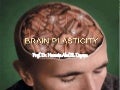 Brain plasticity 