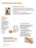 The Brainzooming Group - Capabilities