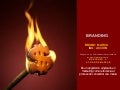Branding, Propaganda, Promoción y Publicidad - Conceptos básicos