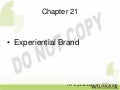 Experiential Branding