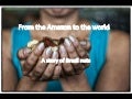 From the Amazon to the World: A Story of Brazil nuts