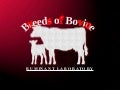 Breeds of Bovine