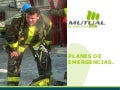 Seguridad