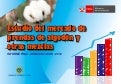 Estudio de Mercado sobre confecciones peruanas