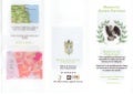 Brochure a memoria