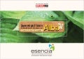 Ansal Esencia Floors | Buy Ansal Esencia Gurgaon // 9999-18-9999
