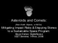 Bruce Damer's talk on Asteroids and Comets: Mitigating Impact Risks & Stepping Stones to a Sustainable Space Program (IEET workshop, 2008)