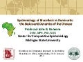 Epidemiology of brucellosis in ruminants: the basics and dynamics of the disease