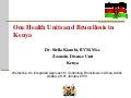 One Health units and brucellosis in Kenya