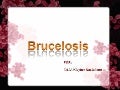 Brucelosis