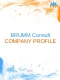 Brumm Company Profile