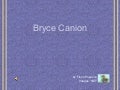 Bryce Canion