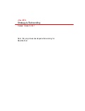 Business Revitalization Zone - Rebranding & Roll Out Plan 